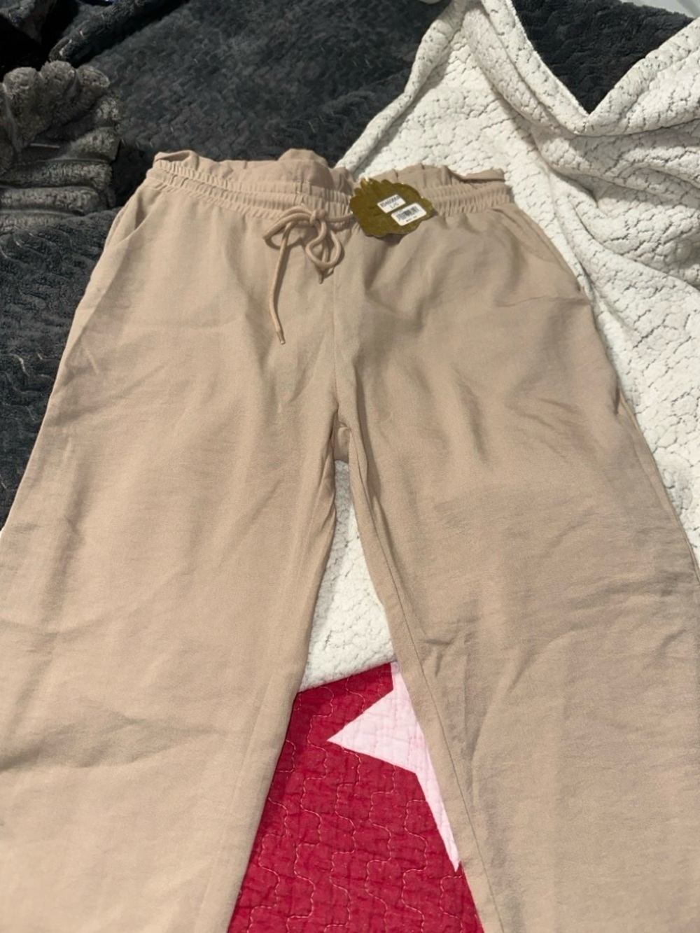 Neutral Beige Drawstring Sweatpants - Picture 2 of 4